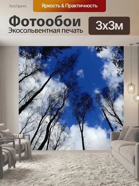 Фотообои Деревья