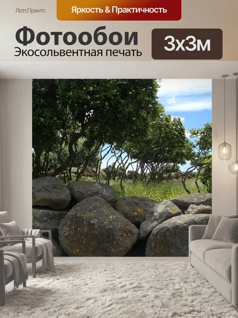 Фотообои Деревья