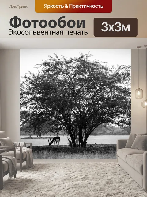 Фотообои Гарна