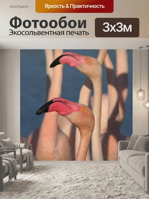 Фотообои Розовые фламинго