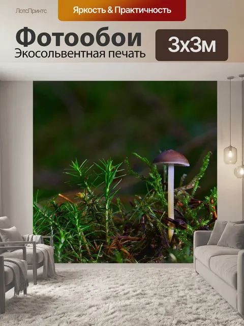 Фотообои Лес