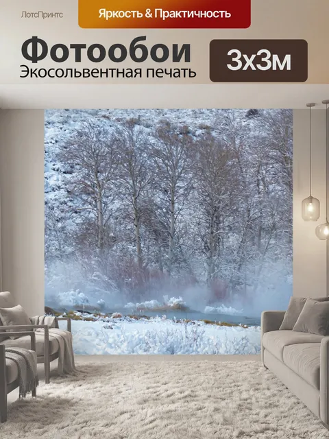 Фотообои Зимние горячие источники