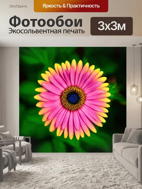 Фотообои цветы в стиле диаграммный рисунок