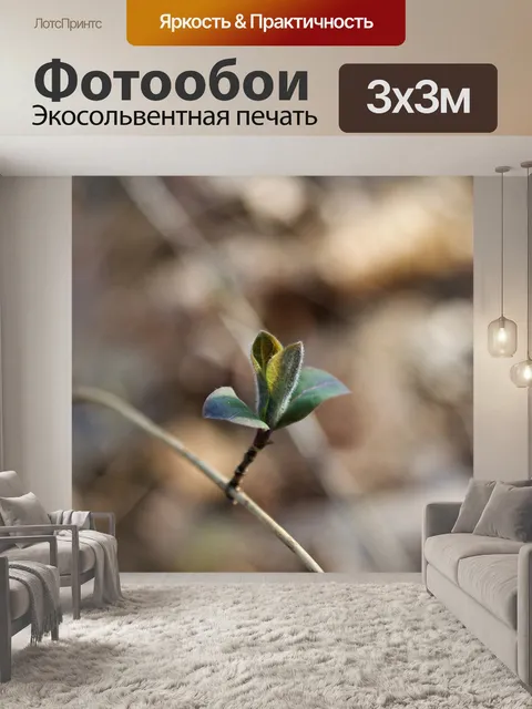 Фотообои Листья