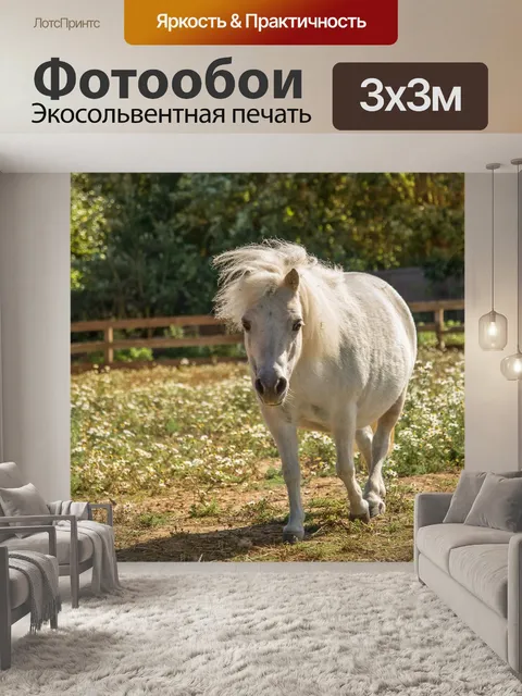 Фотообои Лошади