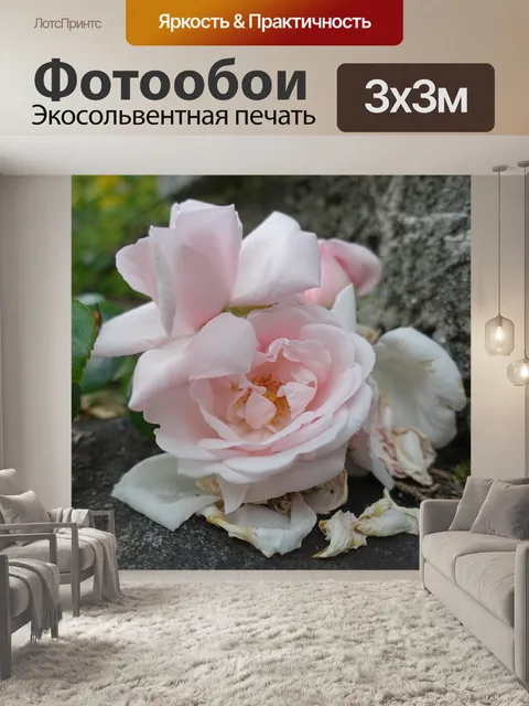Фотообои Розы