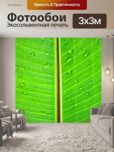 Фотообои Зеленый лист банан