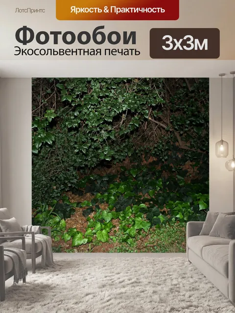Фотообои темный угол