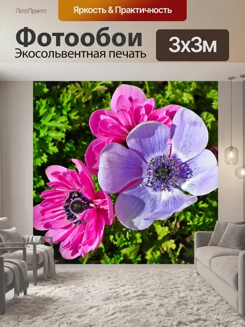 Фотообои Анемоны