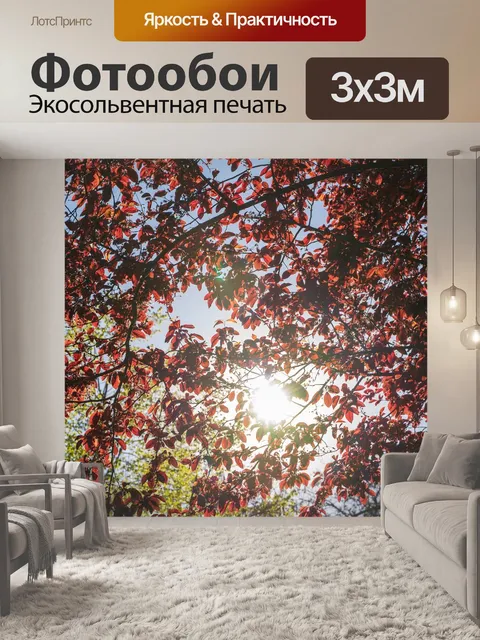 Фотообои Солнце