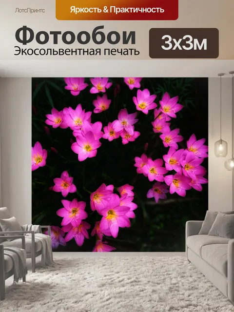 Фотообои Розовый цветок
