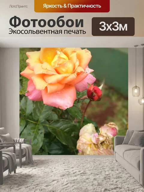 Фотообои Розы