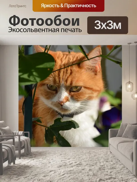 Фотообои Рыжая кошка.