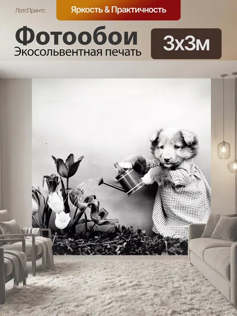 Фотообои Собака Одетый Vintage Photo
