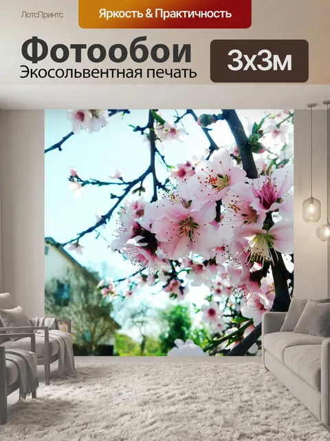 Фотообои Персиковый цвет