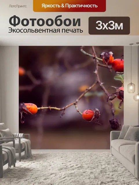Фотообои Ягоды