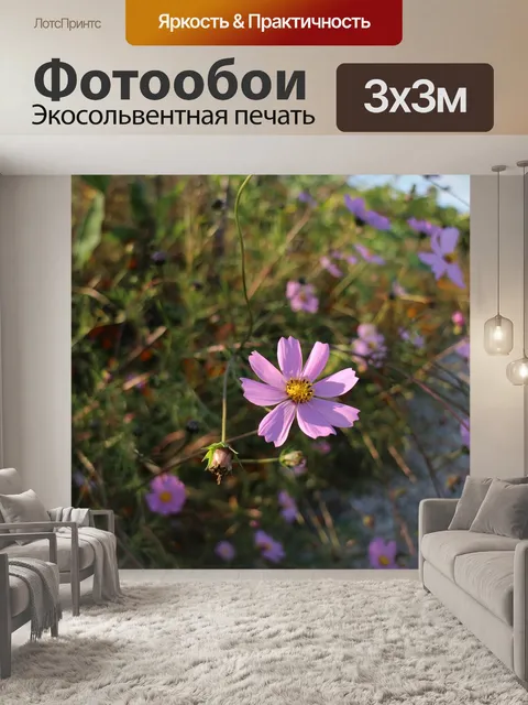 Фотообои Космос