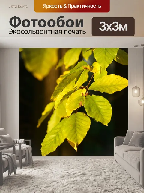 Фотообои Осень