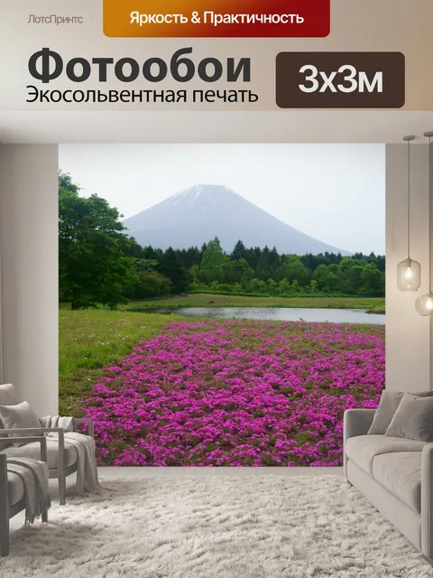 Фотообои Гора фудзи