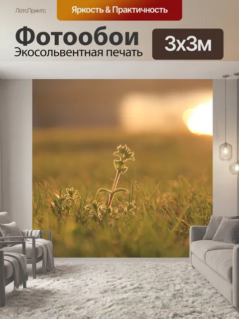 Фотообои Закат