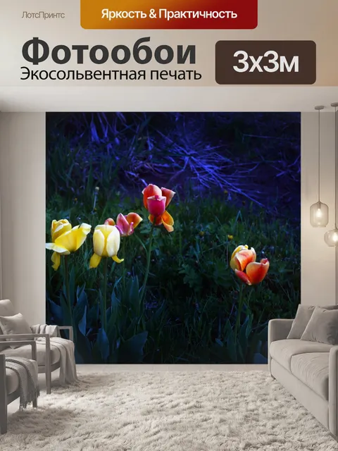 Фотообои тюльпаны ночью 2