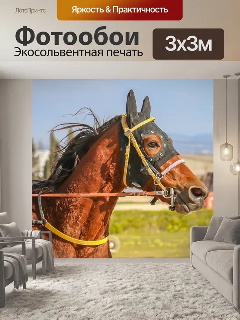 Фотообои Лошади