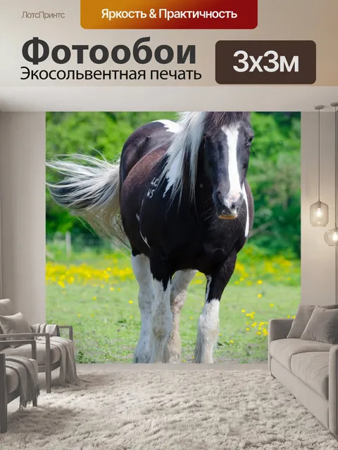 Фотообои лошадь