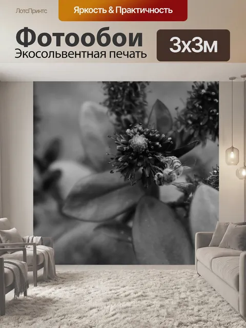 Фотообои Черное и белое