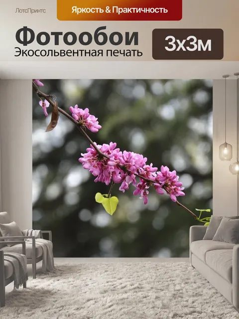 Фотообои Китайские красные бутоны
