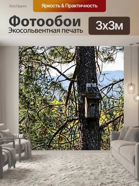 Фотообои Скворечник в сосной