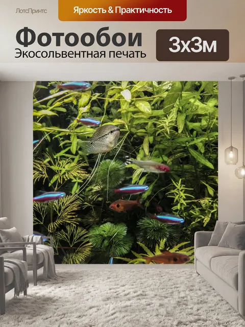 Фотообои Рыбный резервуар сообщества