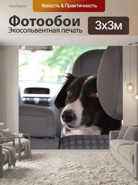 Фотообои Автомобиль