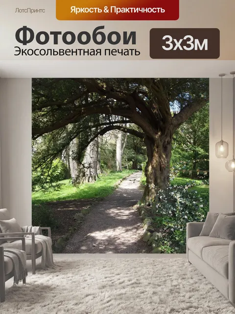 Фотообои Лесной массив