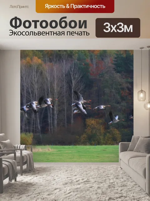 Фотообои Птицы