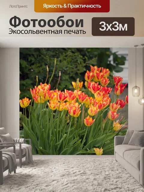 Фотообои Яркие тюльпаны