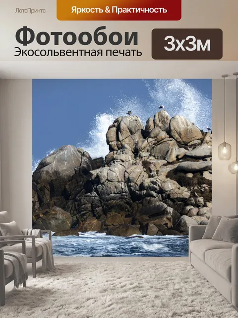 Фотообои чайка и всплеск волны