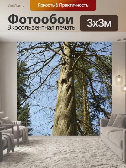 Фотообои Дерево