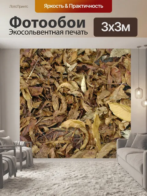 Фотообои Осенние листья
