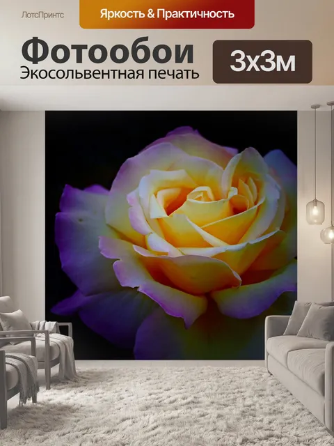 Фотообои Роза