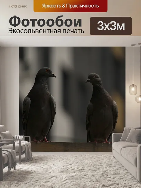 Фотообои Голубь