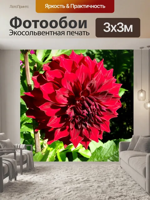 Фотообои Глубокий красный цветок