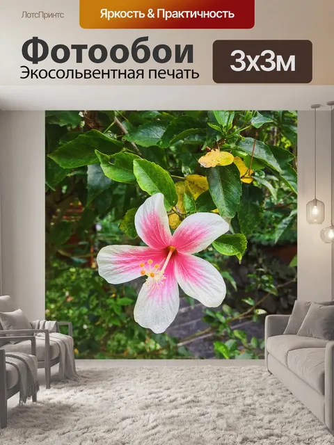 Фотообои Цветок