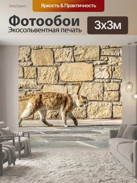 Фотообои Кошка