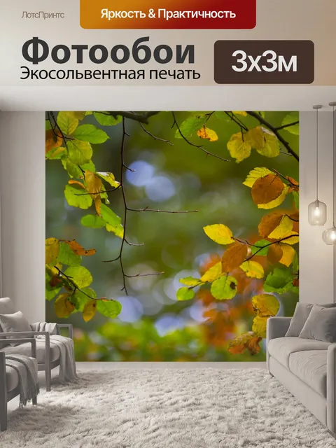 Фотообои Осенние листья