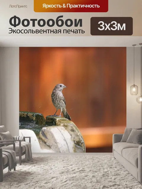 Фотообои Птица