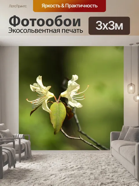 Фотообои Рододендрон