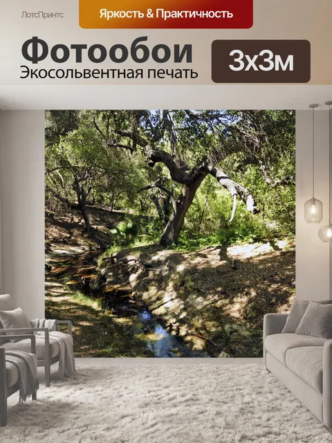 Фотообои Небольшой ручей