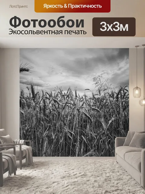Фотообои Черное и белое