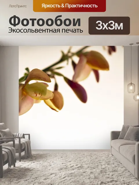 Фотообои Метла