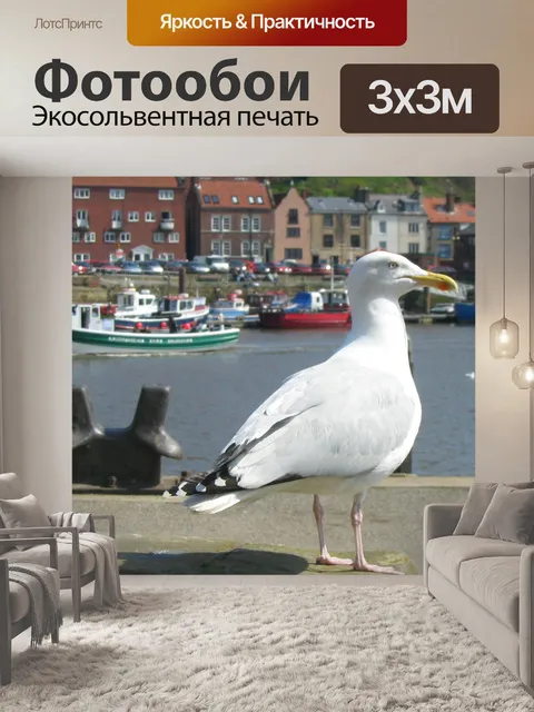 Фотообои Чайки